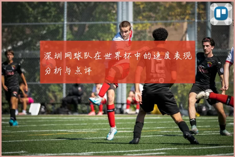 深圳网球队在世界杯中的速度表现分析与点评