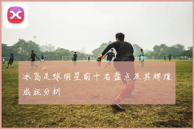 冰岛足球明星前十名盘点及其辉煌成就分析